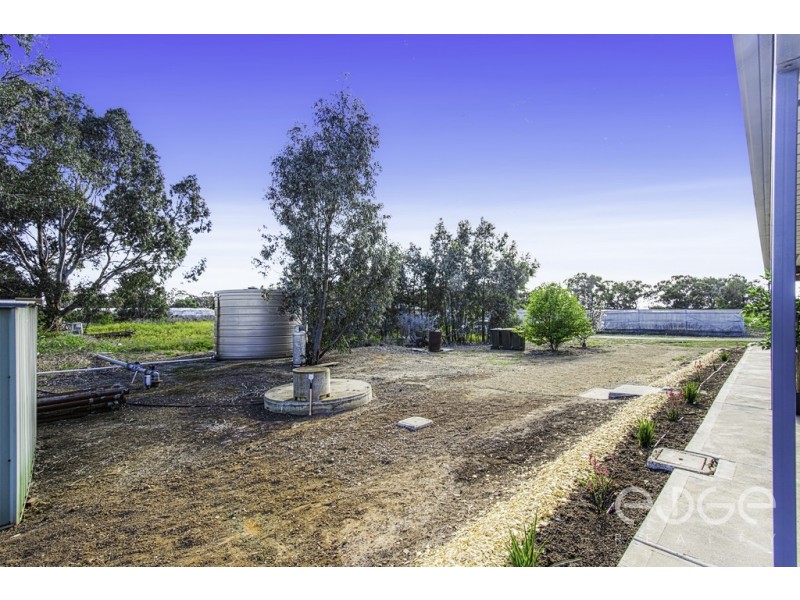 55 Stanton Road, Virginia SA 5120