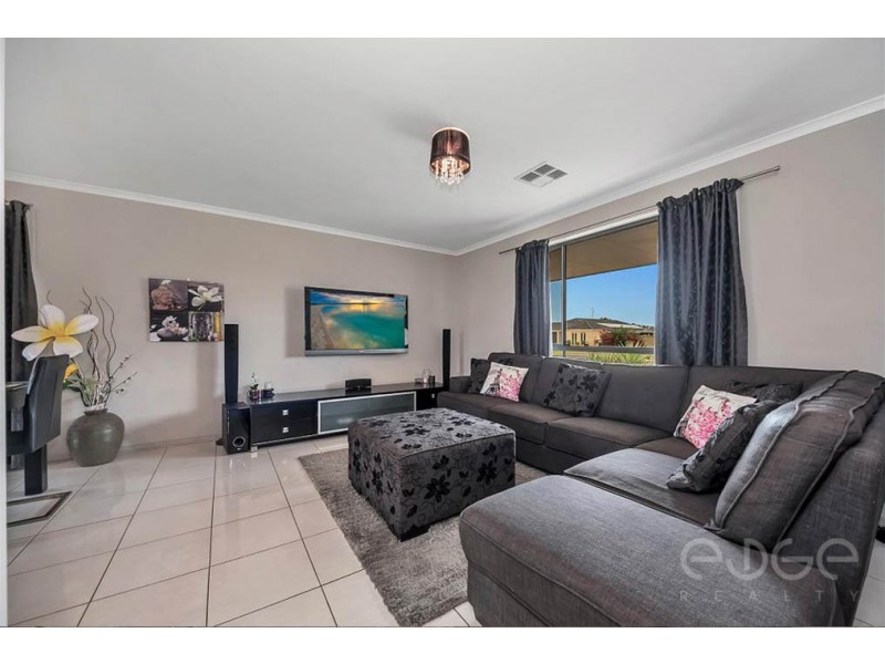 145 President Avenue, Andrews Farm SA 5114