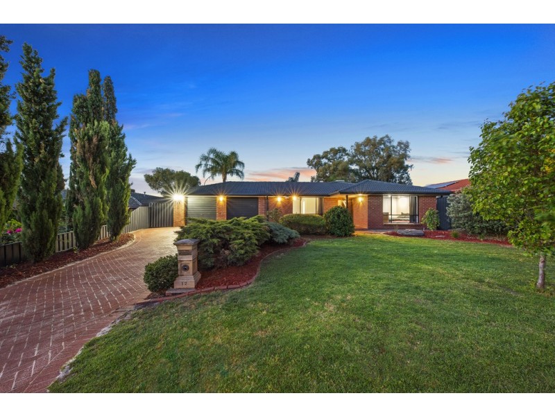 12 Zanoni Crescent, Surrey Downs SA 5126
