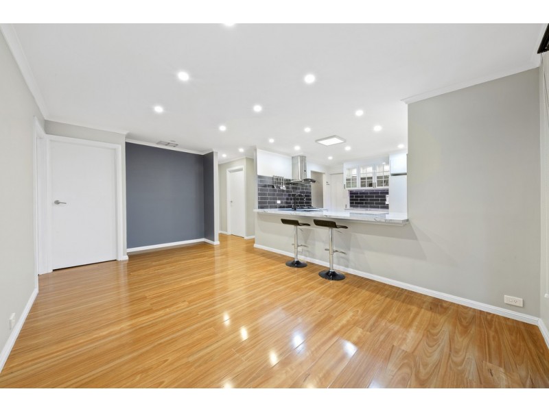 12 Zanoni Crescent, Surrey Downs SA 5126