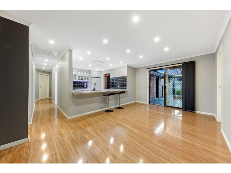 12 Zanoni Crescent, Surrey Downs SA 5126