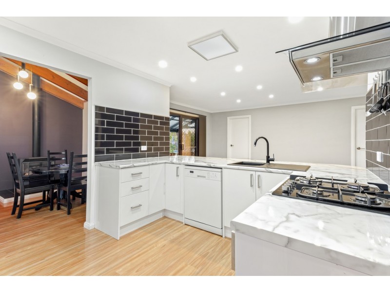 12 Zanoni Crescent, Surrey Downs SA 5126