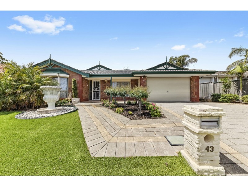 43 Hillcott Avenue, Wynn Vale SA 5127