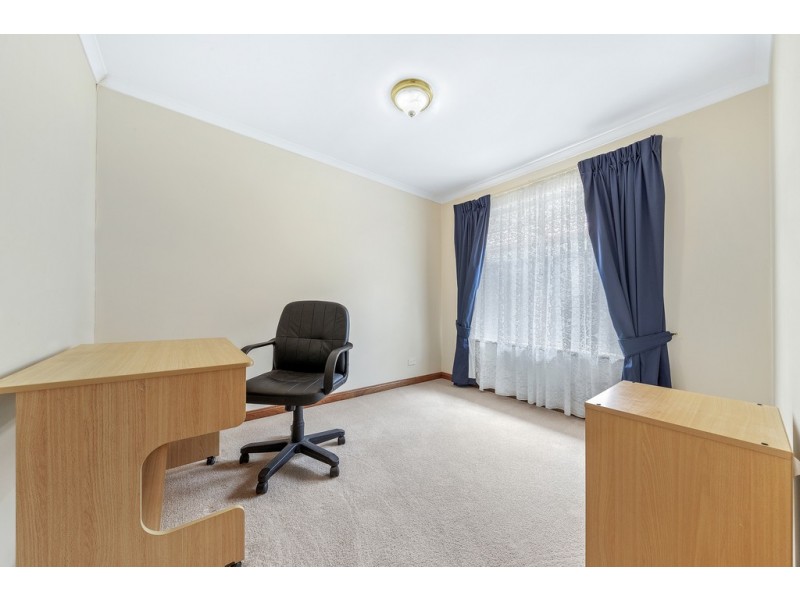 43 Hillcott Avenue, Wynn Vale SA 5127