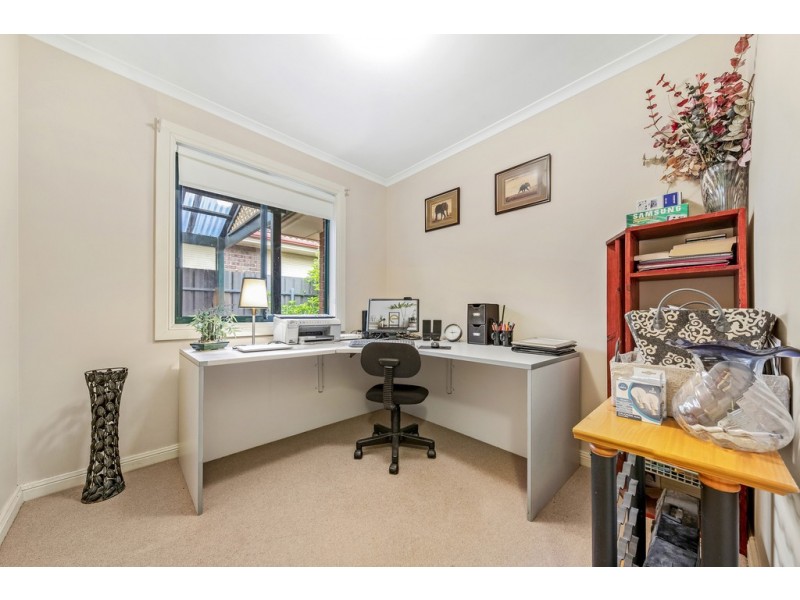 13 Cinnamon Grove, Blakeview SA 5114