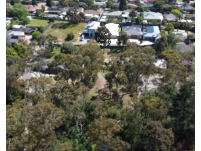 4/21 Oleander Drive, Banksia Park SA 5091