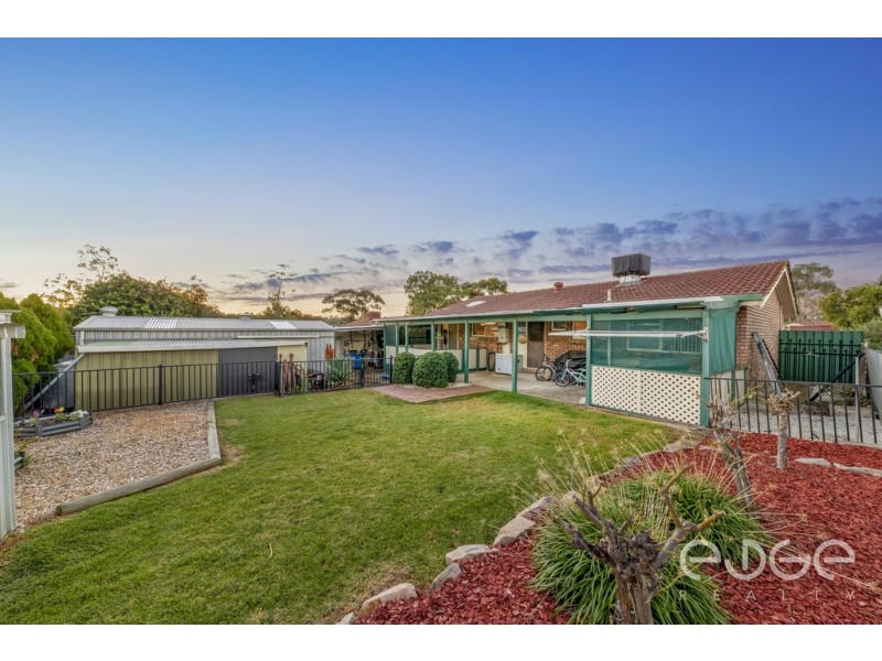 19 Maughan Avenue, Redwood Park SA 5097