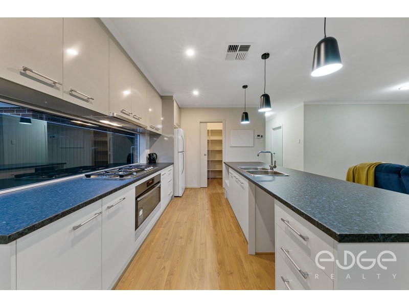 99 Park Terrace, Blakeview SA 5114