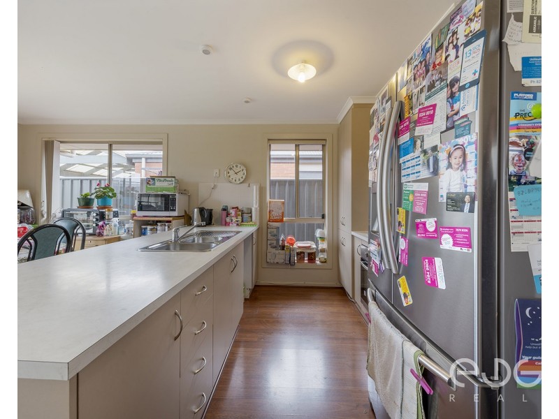 34 Riesling Crescent, Andrews Farm SA 5114