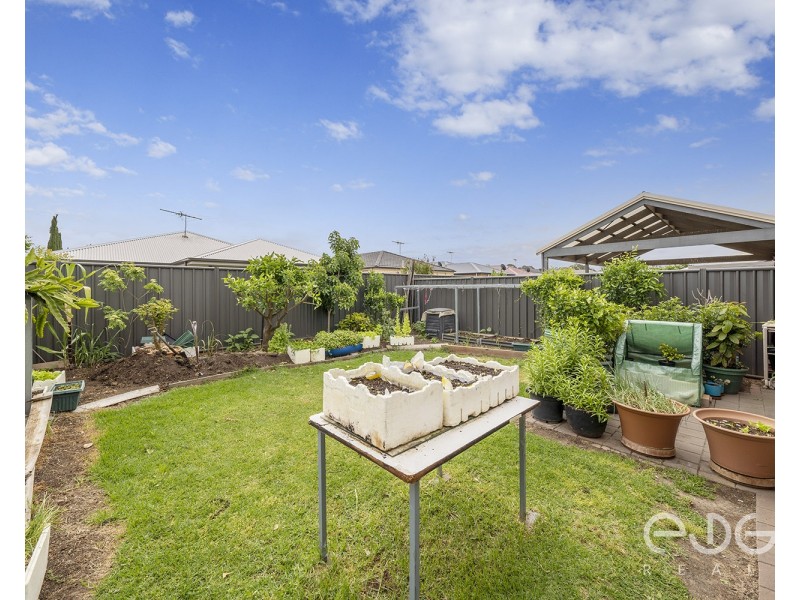 34 Riesling Crescent, Andrews Farm SA 5114
