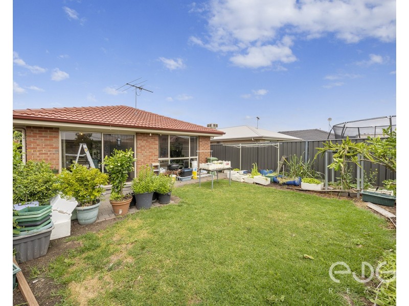 34 Riesling Crescent, Andrews Farm SA 5114