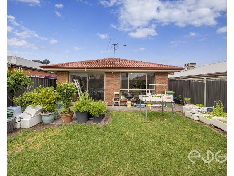 34 Riesling Crescent, Andrews Farm SA 5114