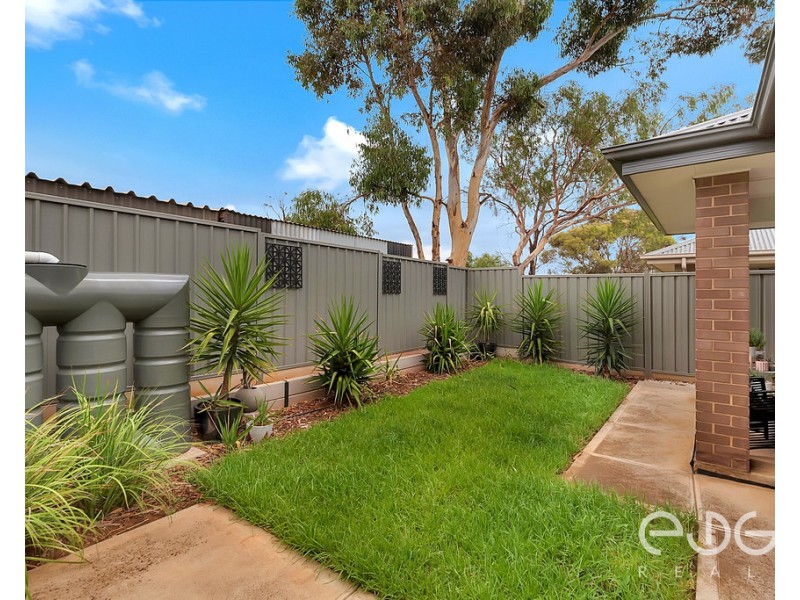38 Darling Street, Evanston South SA 5116