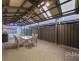 8 Caspian Lane, Andrews Farm SA 5114