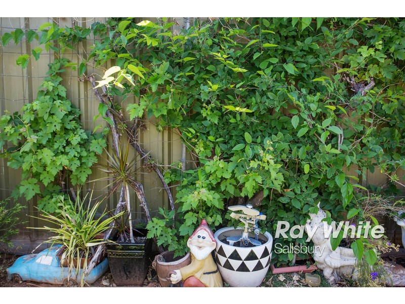 81 Haydown Road, Elizabeth Vale SA 5112