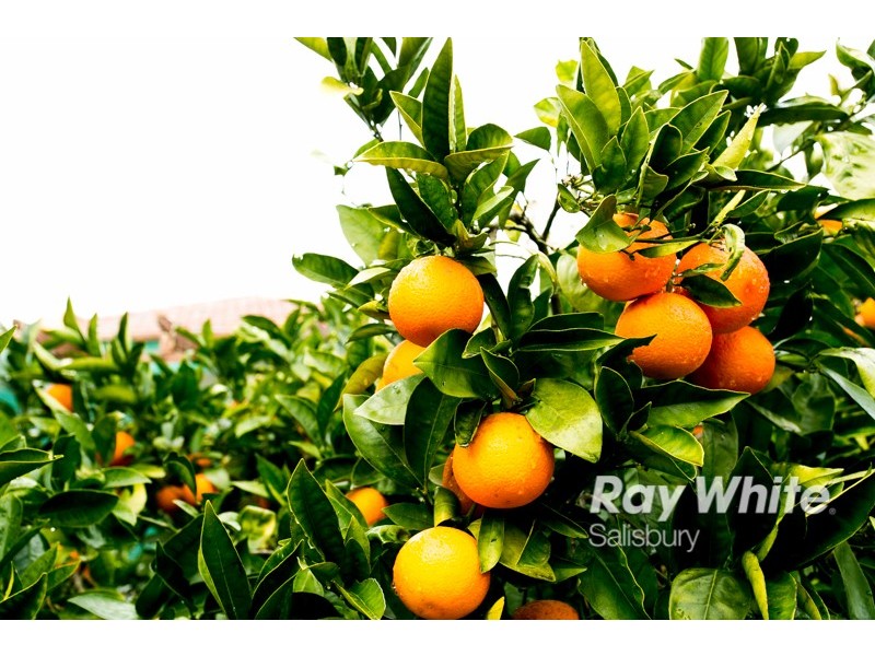 10 Hunt Street, Salisbury SA 5108