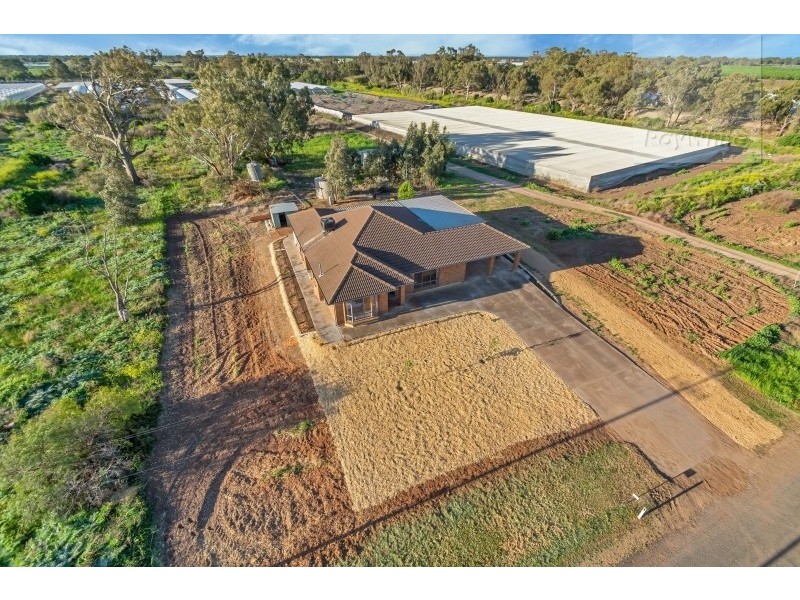 55 Stanton Road, Virginia SA 5120