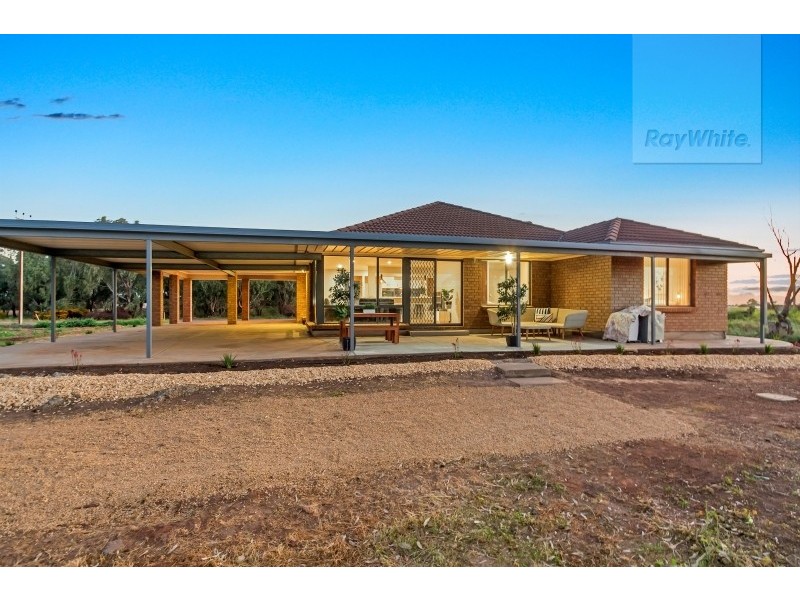 55 Stanton Road, Virginia SA 5120