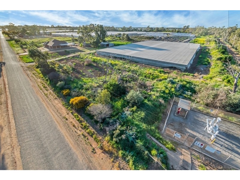 55 Stanton Road, Virginia SA 5120