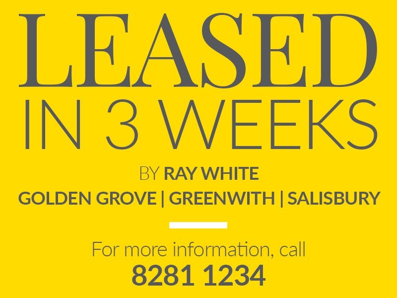 145 President Avenue, Andrews Farm SA 5114