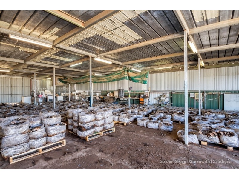 11 Ridgeway Road, Virginia SA 5120