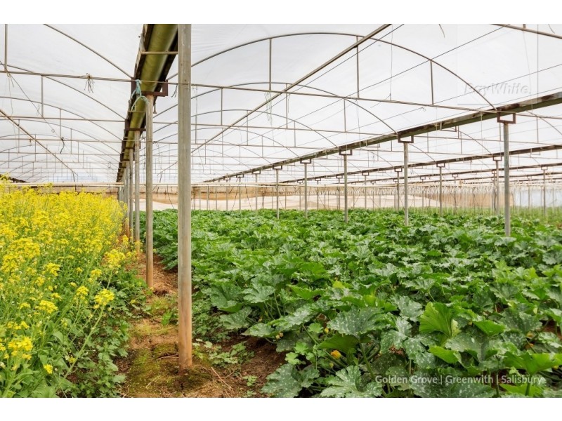 11 Ridgeway Road, Virginia SA 5120