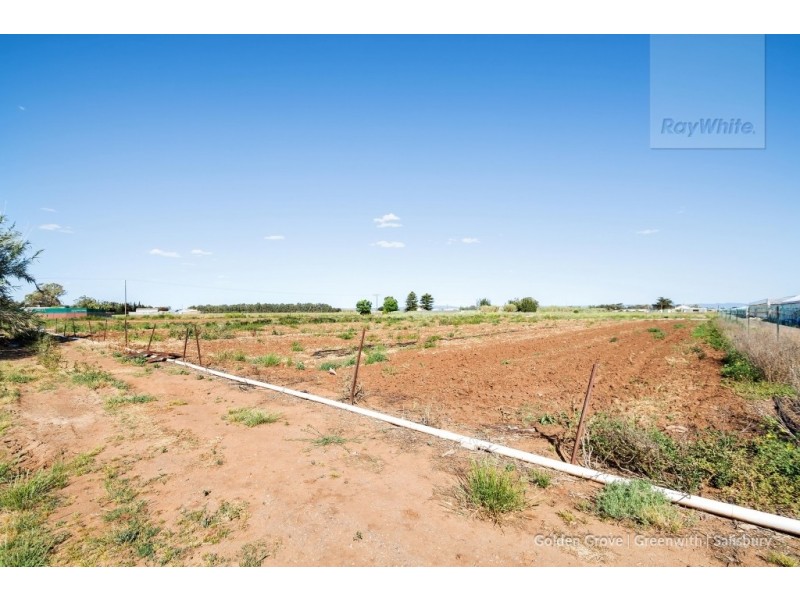 11 Ridgeway Road, Virginia SA 5120