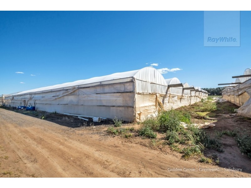 11 Ridgeway Road, Virginia SA 5120