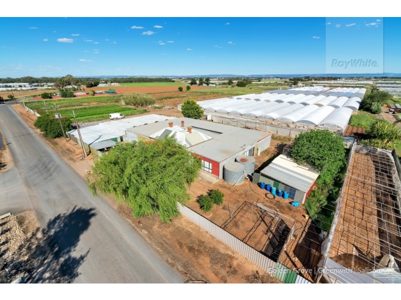 11 Ridgeway Road, Virginia SA 5120