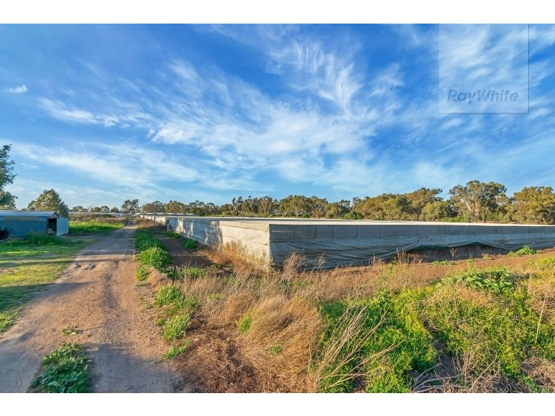Lot 1 Stanton Road, Virginia SA 5120