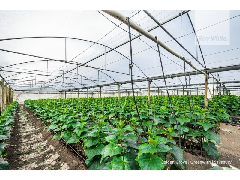 Lot 1 Stanton Road, Virginia SA 5120