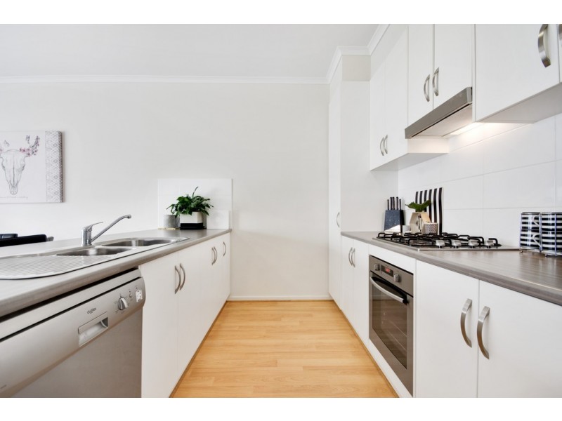 8 Shribank Street, Munno Para SA 5115