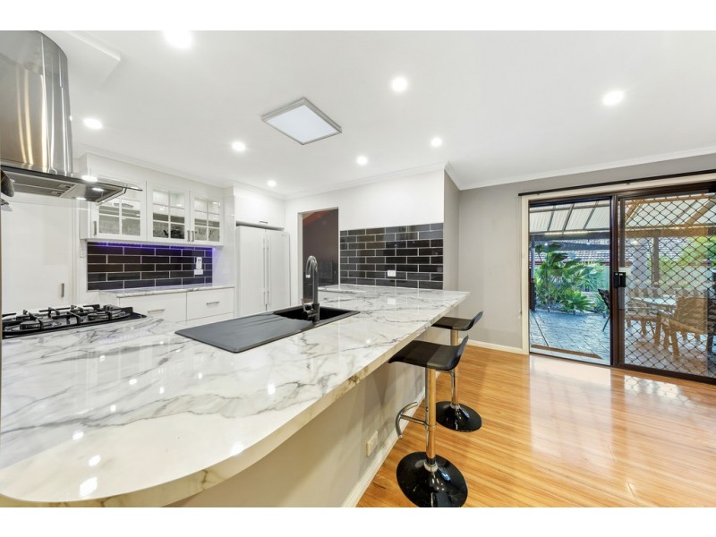 12 Zanoni Crescent, Surrey Downs SA 5126