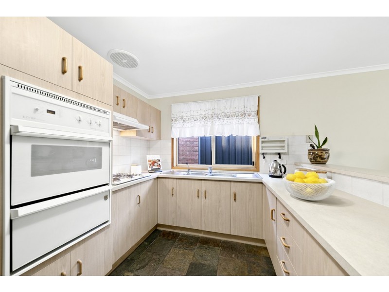 13 Ashton Place, Wynn Vale SA 5127