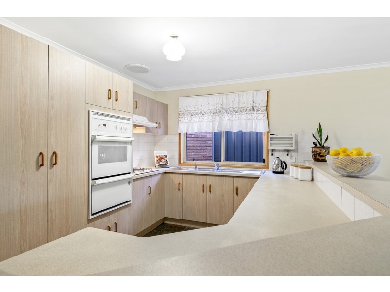 13 Ashton Place, Wynn Vale SA 5127