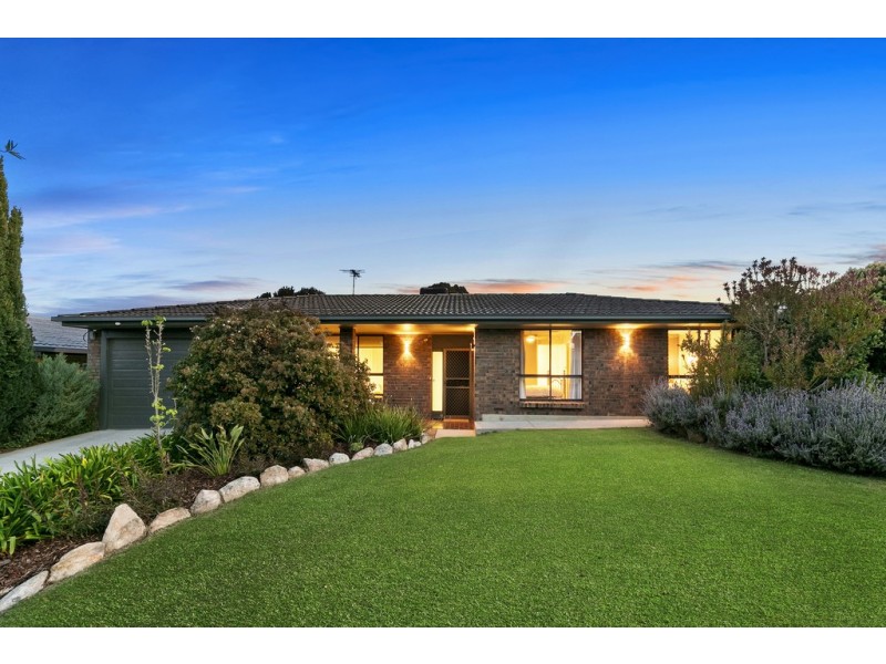 20 Currawong Crescent, Modbury Heights SA 5092