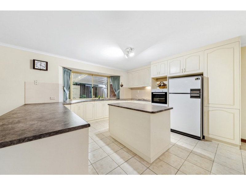 43 Hillcott Avenue, Wynn Vale SA 5127