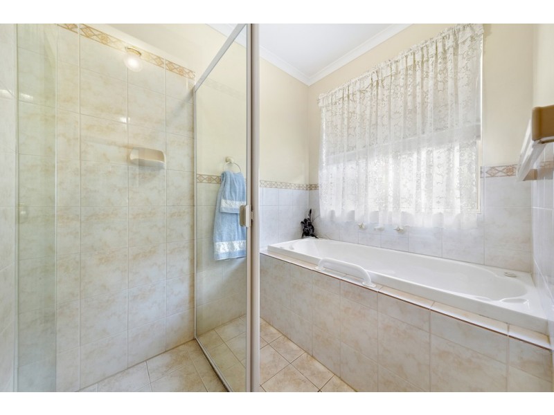 43 Hillcott Avenue, Wynn Vale SA 5127