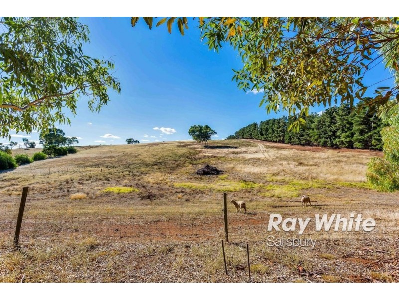 96 Viney Drive, Uleybury SA 5114