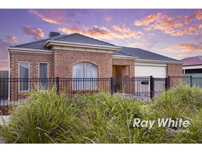 17 Chapman Court, Mawson Lakes SA 5095