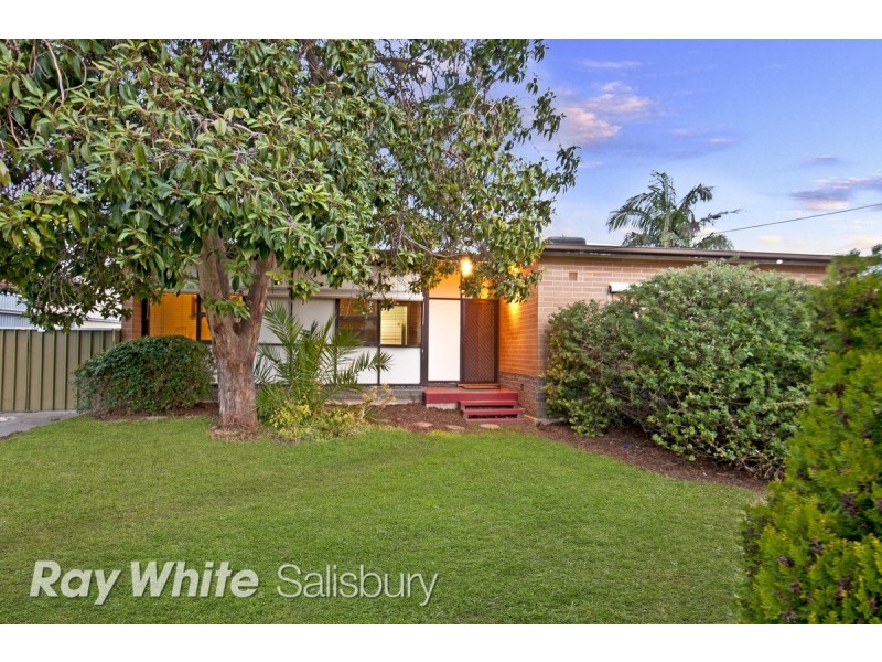 31 Walker Avenue, Paradise SA 5075