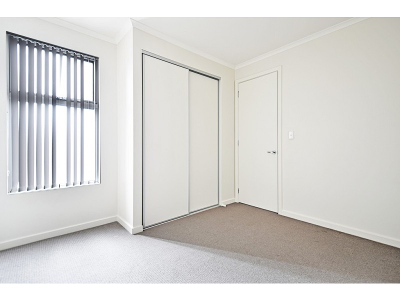 49A Trinity Circuit, Mawson Lakes SA 5095