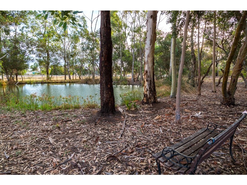 291 Penfield Road, Virginia SA 5120