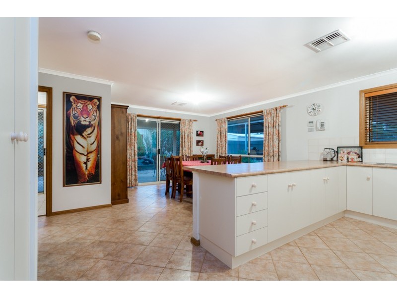 291 Penfield Road, Virginia SA 5120