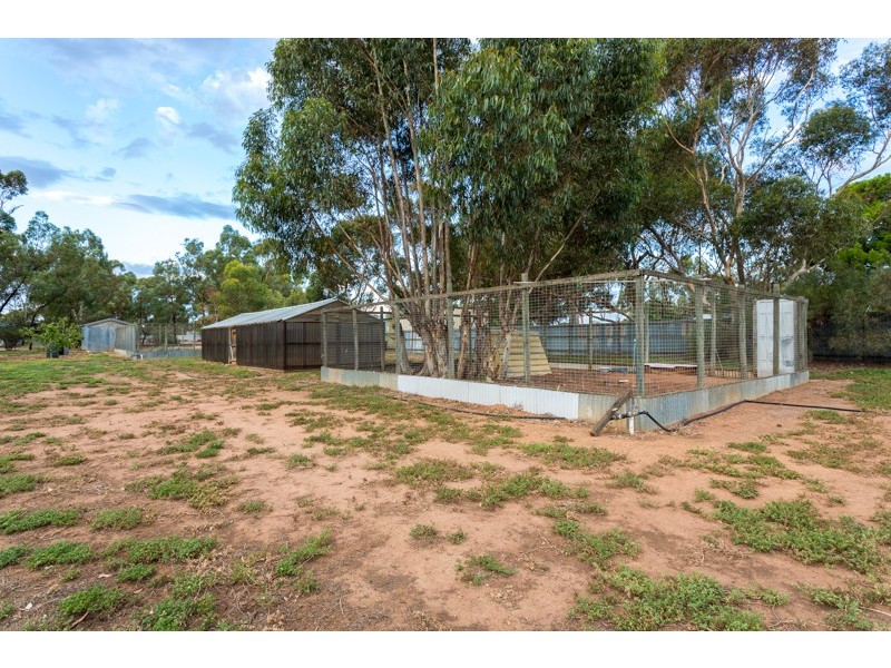 291 Penfield Road, Virginia SA 5120