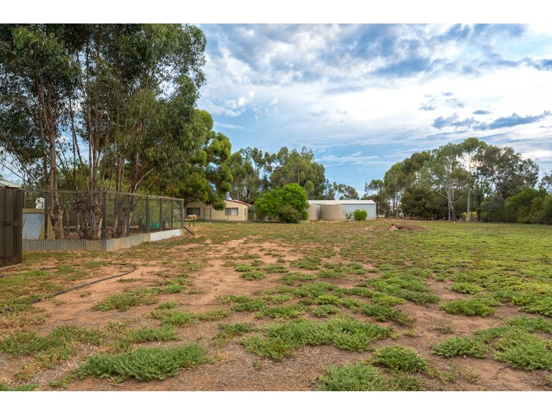 291 Penfield Road, Virginia SA 5120