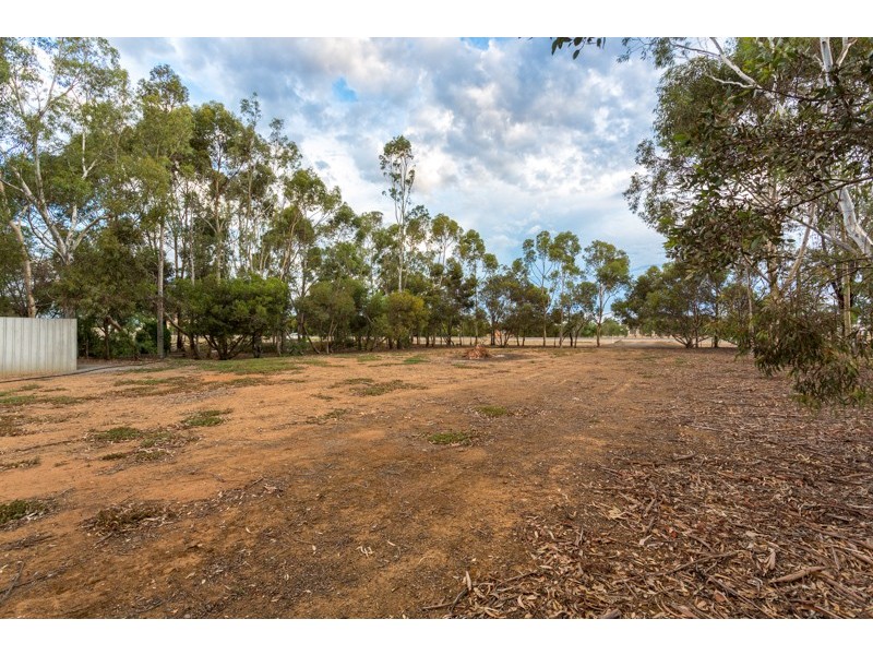 291 Penfield Road, Virginia SA 5120