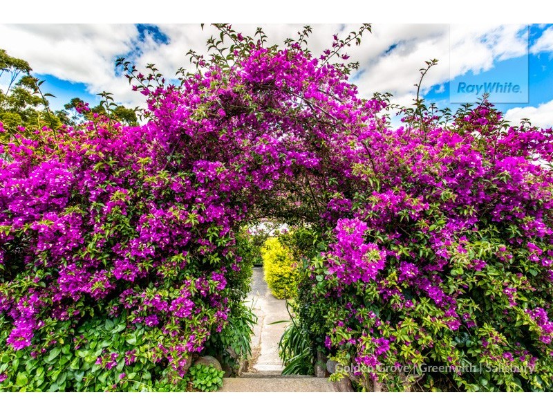 24 Carnarvon Avenue, Redwood Park SA 5097