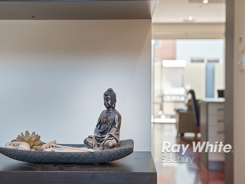 9 Robinson Street, Mawson Lakes SA 5095