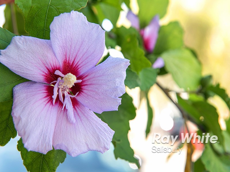 1/9-11 Simpson Street, Salisbury East SA 5109